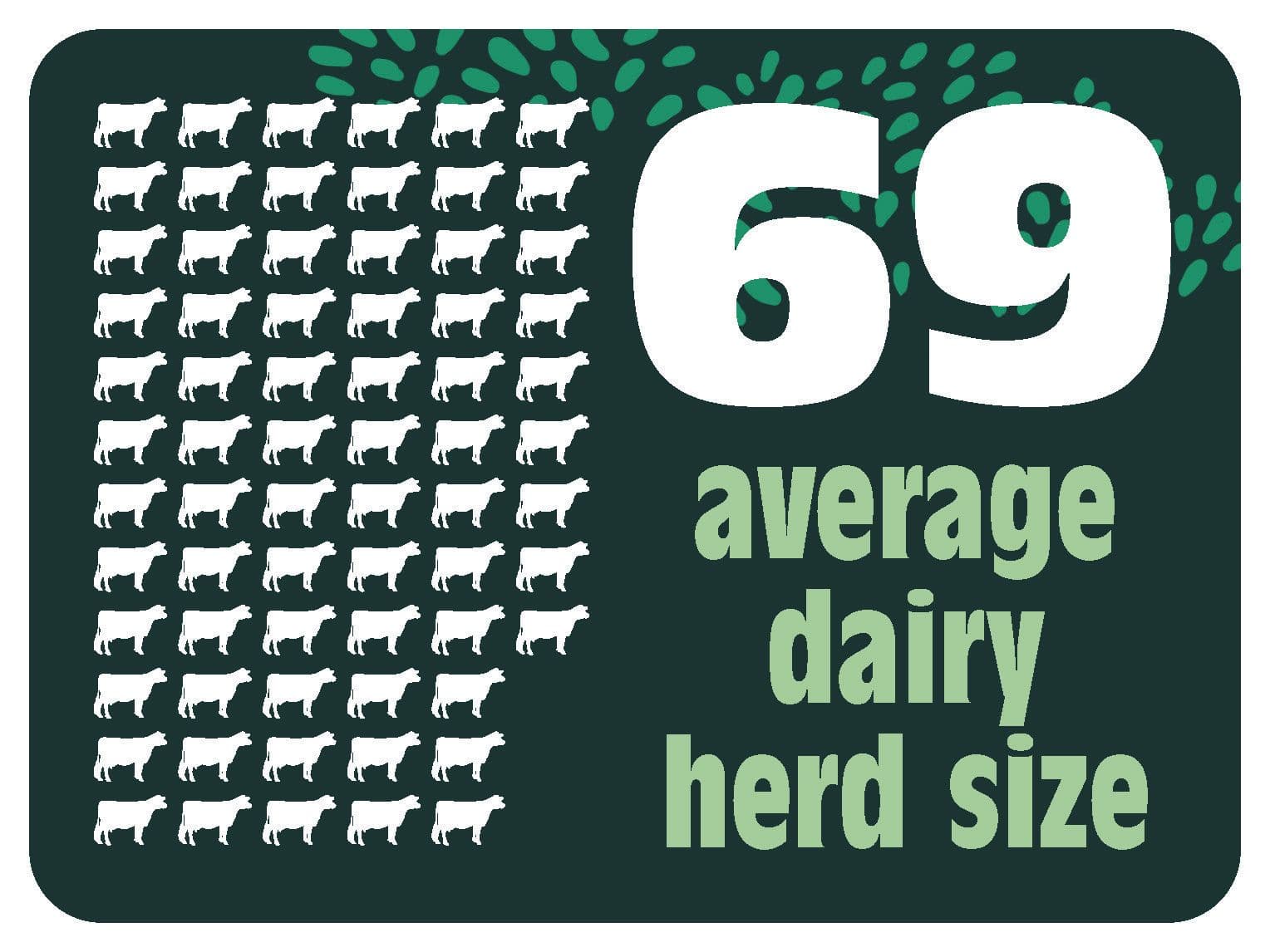 69 Average Dairy Herd Size