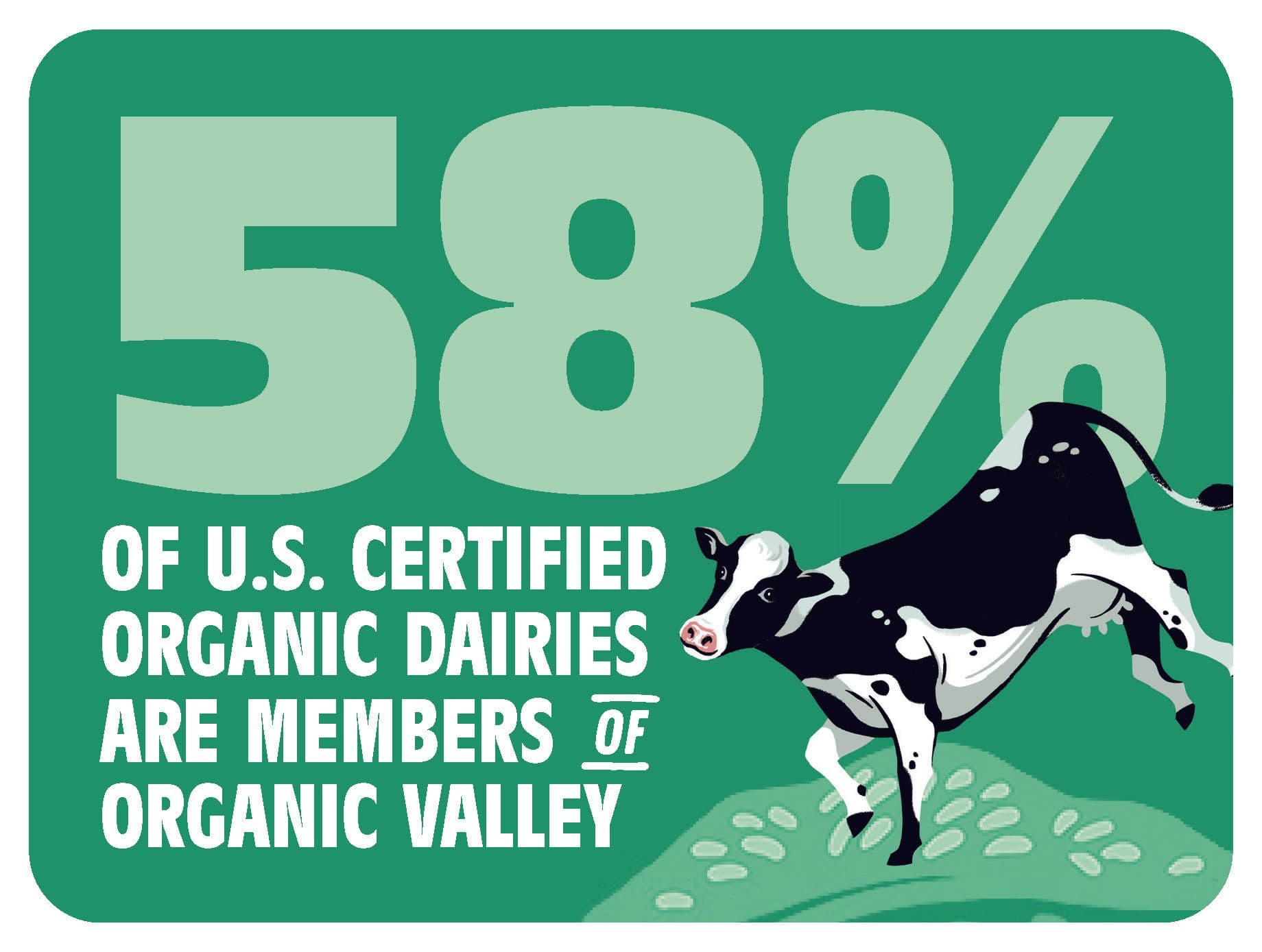 58% of US Certified Organic Dairies are Members of Organic Valley